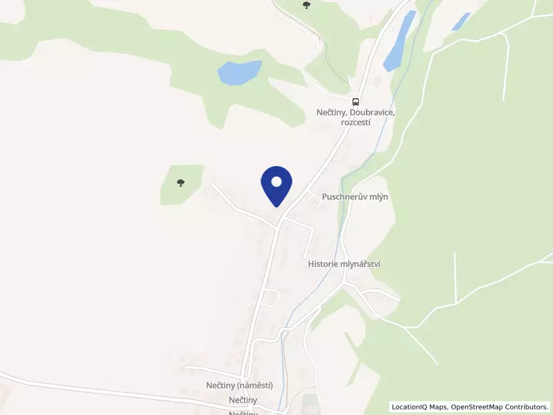 Základní škola a Mateřská škola Nečtiny, okres Plzeň-sever, příspěvková organizace