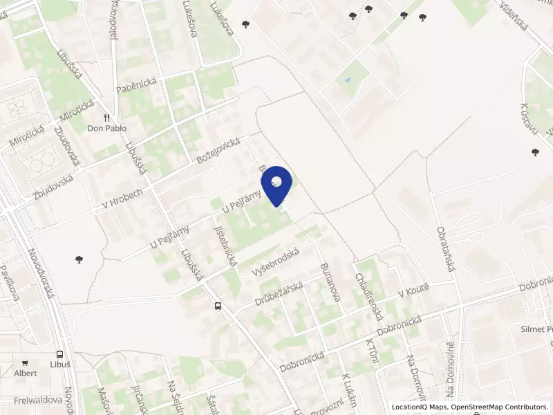 Podnikatelské a manažerské služby, s.r.o.