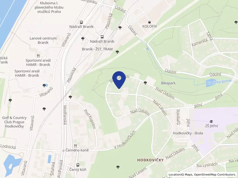 ST PEDRO ASSET MANAGEMENT LLC, organizační složka