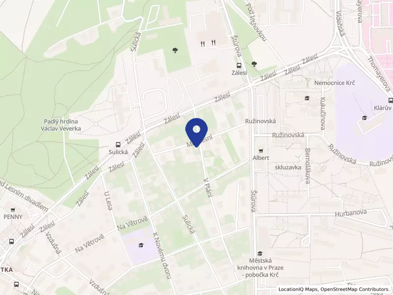 Malý soukromá podnik BARON - organizační složka