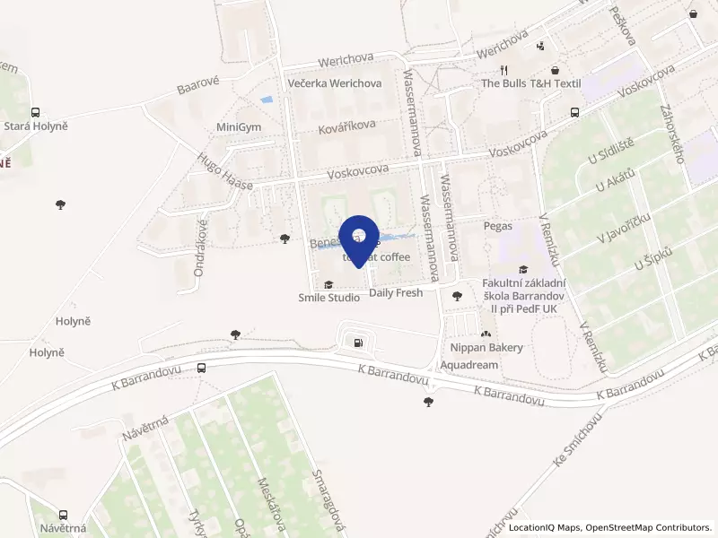 IT Focus Academy s.r.o.
