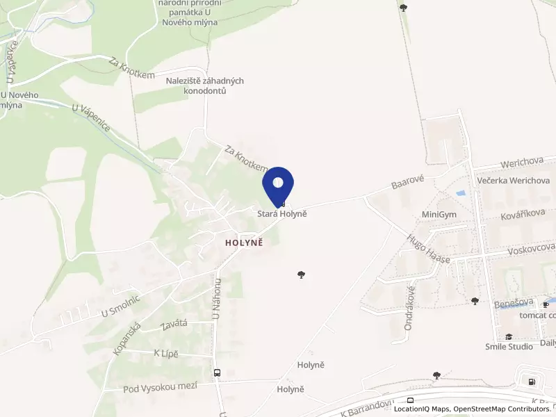 Autoservis Holyně, s.r.o.