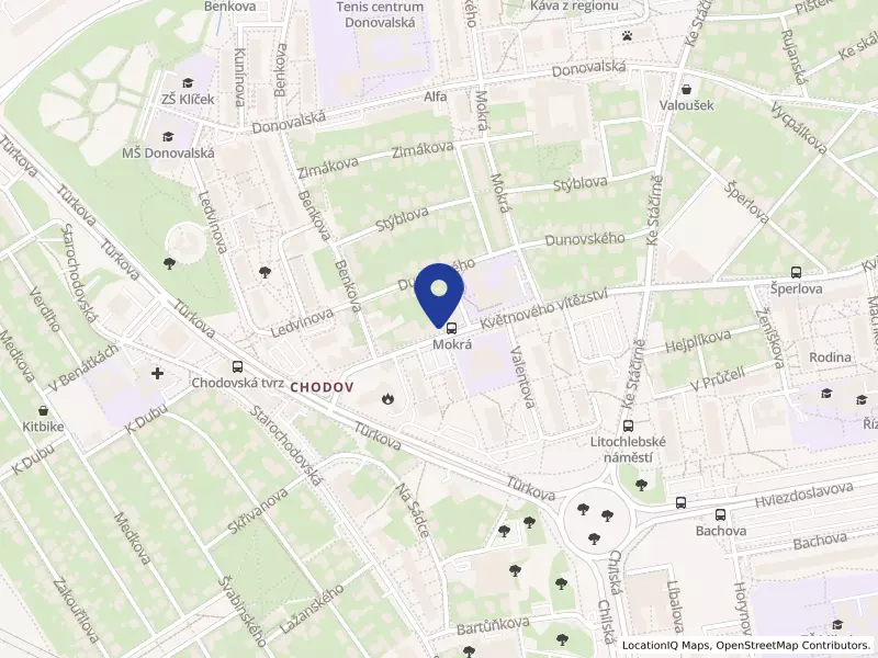 LUONG EUROPE Capital s.r.o.