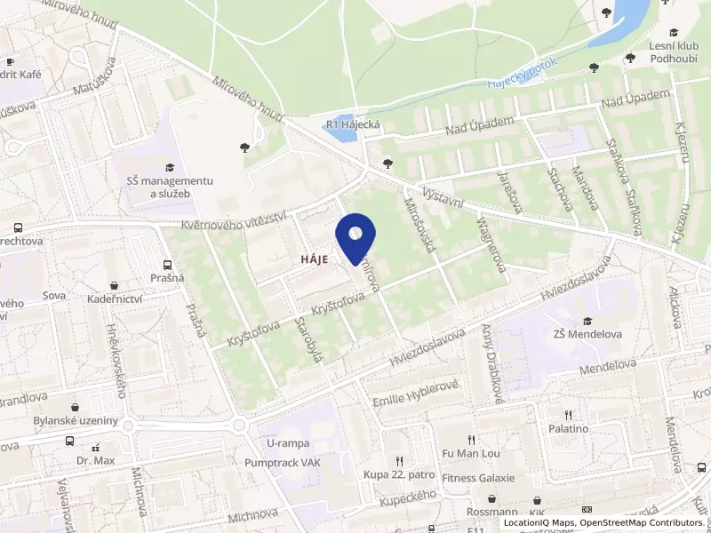 Zakarpatská státní univerzita, organizační složka v Praze