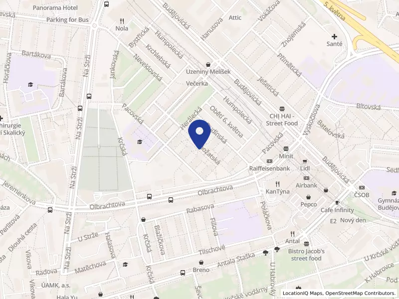Bulovka Dental Clinic, a.s.