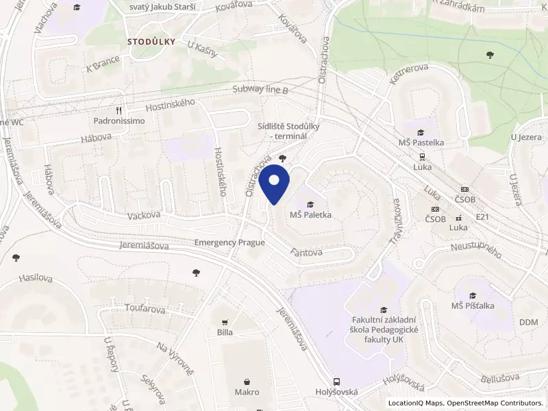 "Česká genealogická a heraldická společnost v Praze"