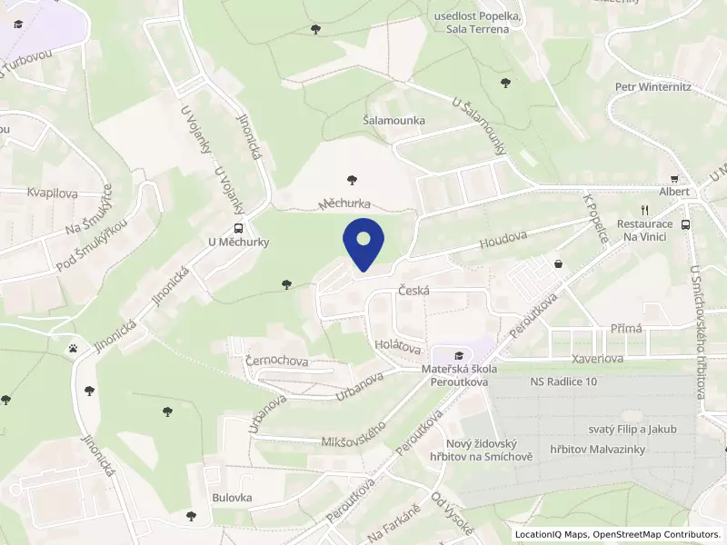 W.X.N. s.r.o.