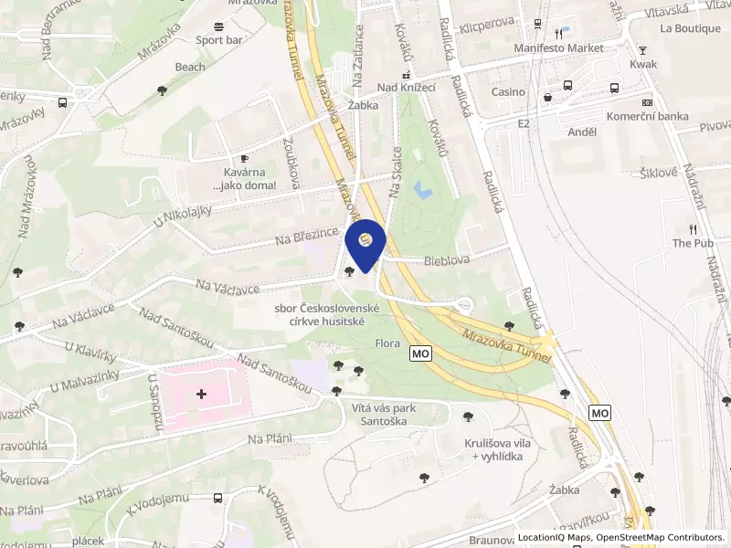 CEE Animation, EHZS