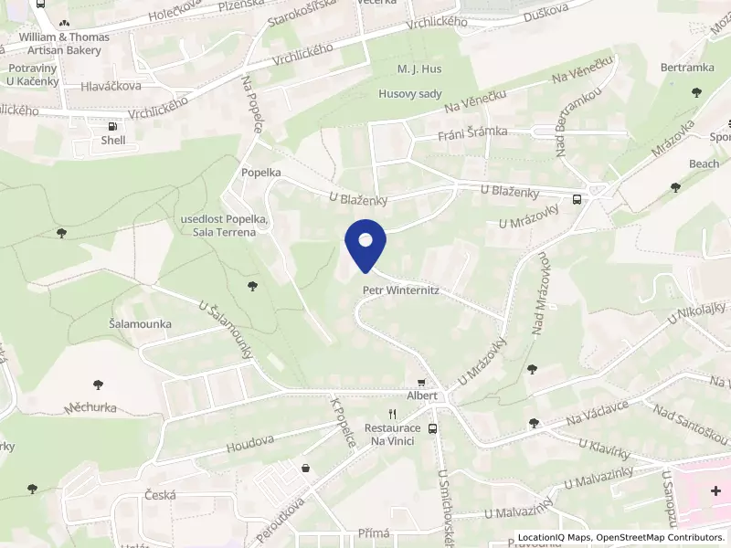 GUO PING s.r.o.