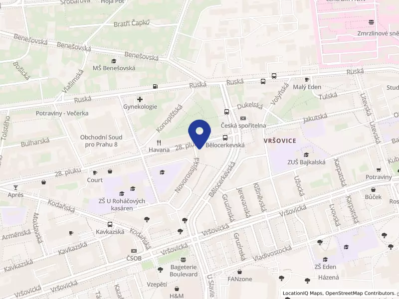 Ing. Milan Paclík