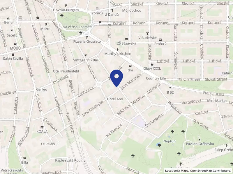 YOUNG TALENTS, z. s.