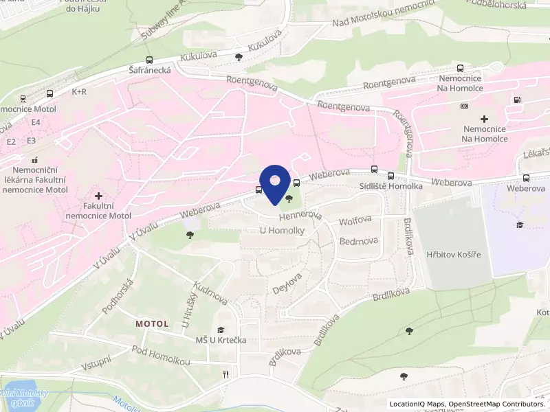 Družstvo "Pod Šafránkou", bytové družstvo