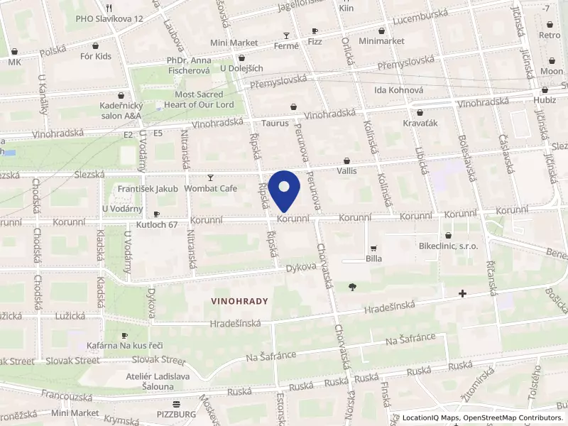 Wen's restaurant s.r.o.