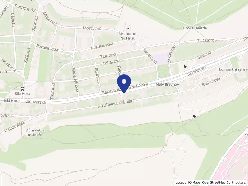 První vlaštovka, sociální družstvo