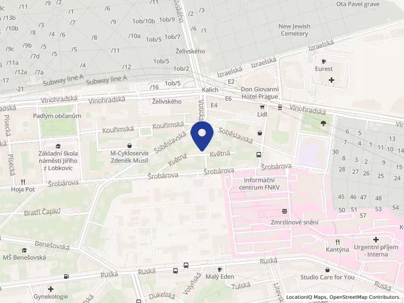 CBS PROFESIONAL security agency, a.s.