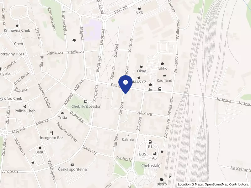 Servisní centrum sportu ČUS Cheb