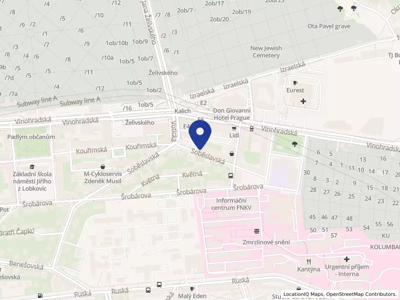 Pravoslavná církevní obec v Praze 3/II - Žižkov