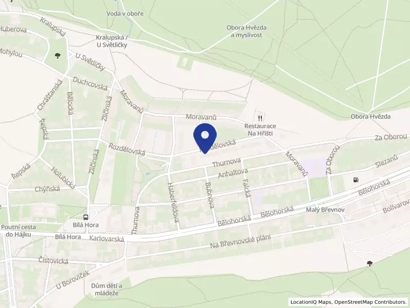 Premium vlasy s.r.o.
