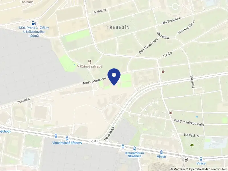 Tělovýchovná jednota Bohemians Praha