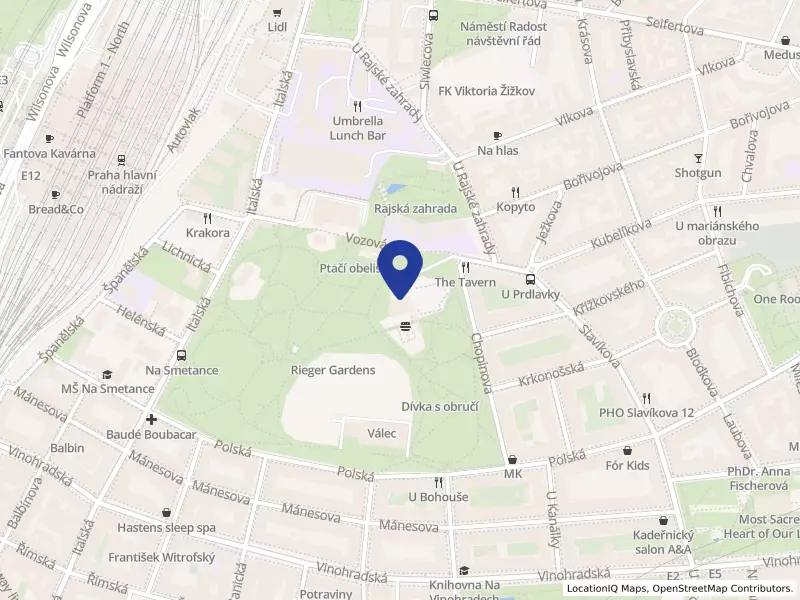 C.E.C. - Central European Business -               Consulting spol. s r.o.