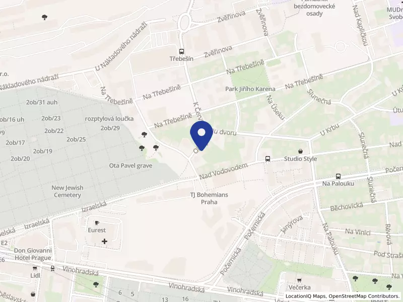 Bubenik Partners International SE