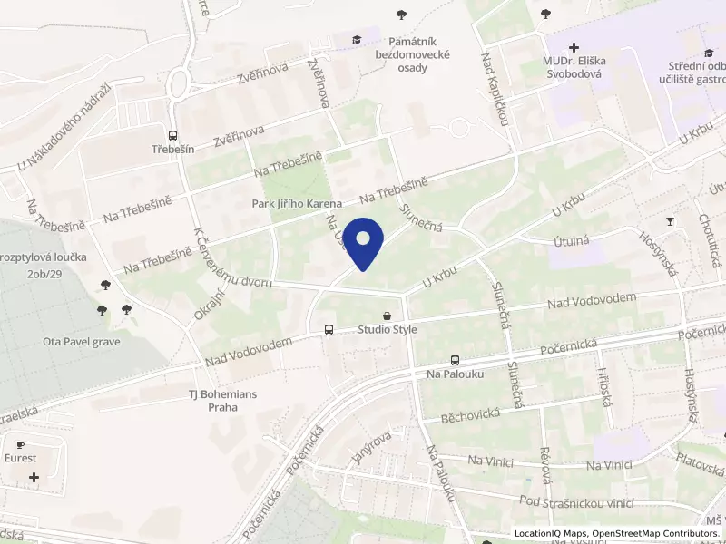 Thrivy Trading & Investment Co. Ltd. společnost s ručením omezeným