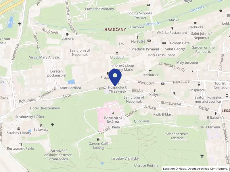 Nadace sester Boromejek