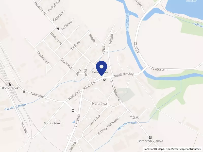 Medvěd Boro s.r.o.