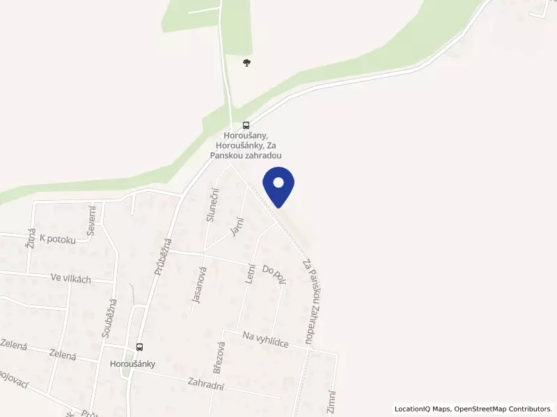 LERONDA GLOBAL LTD, odštěpný závod