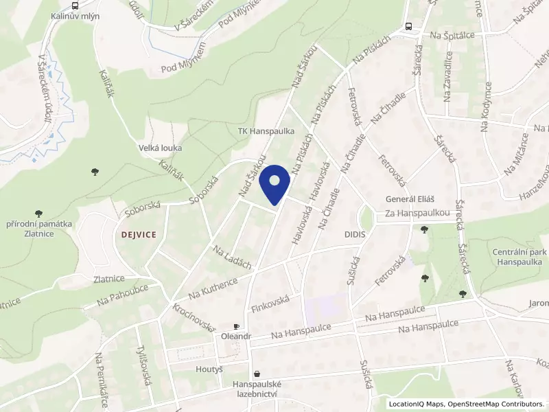Berner Cs, organizační složka