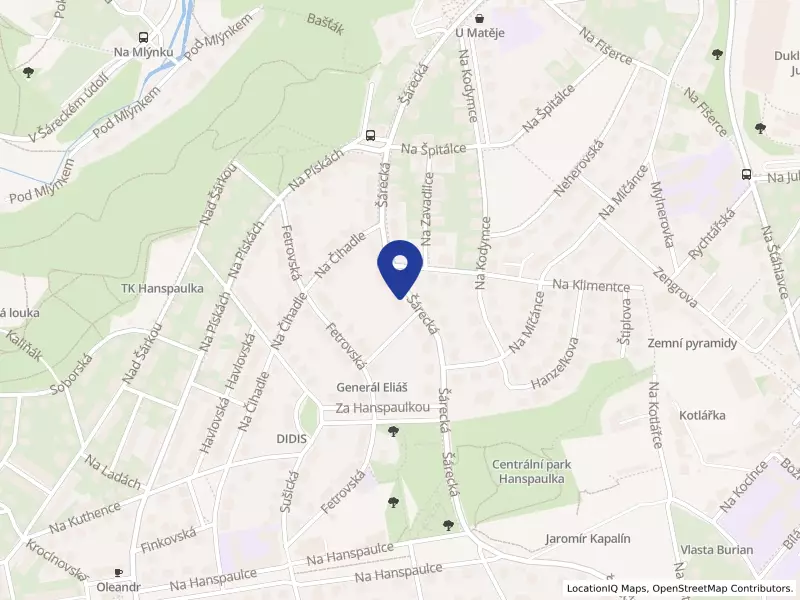 EI Toulouse Midi-Pyrenées, organizační složka