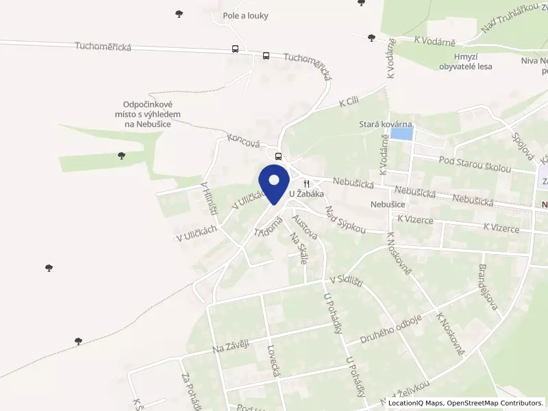 Nebušický sportovní spolek