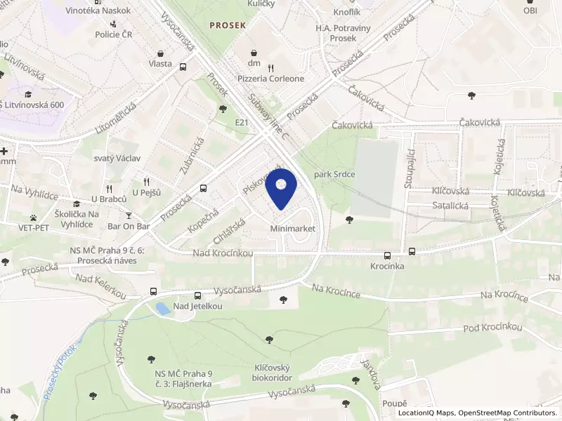 Umělecký institut Praha, z.ú.