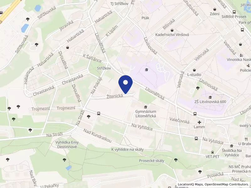 Můj předseda s.r.o.