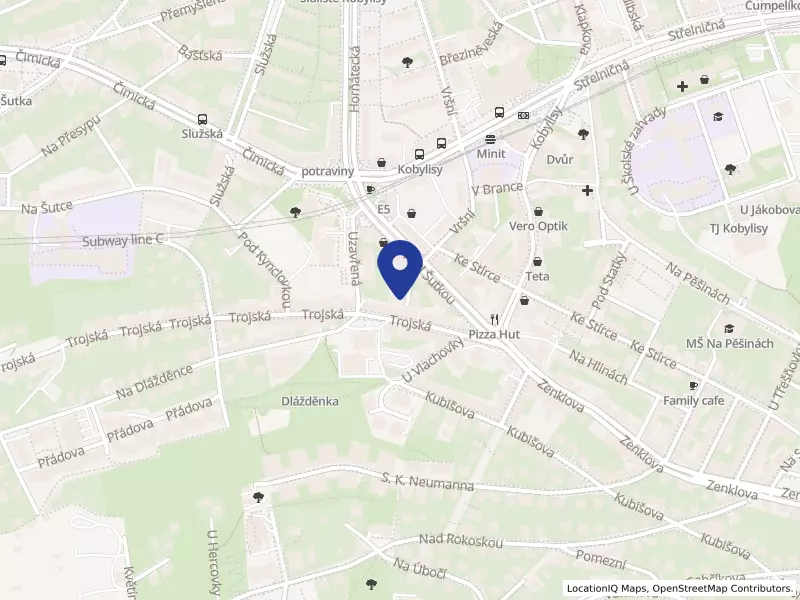 TELESPOJ PRAHA, společnost s ručením omezeným