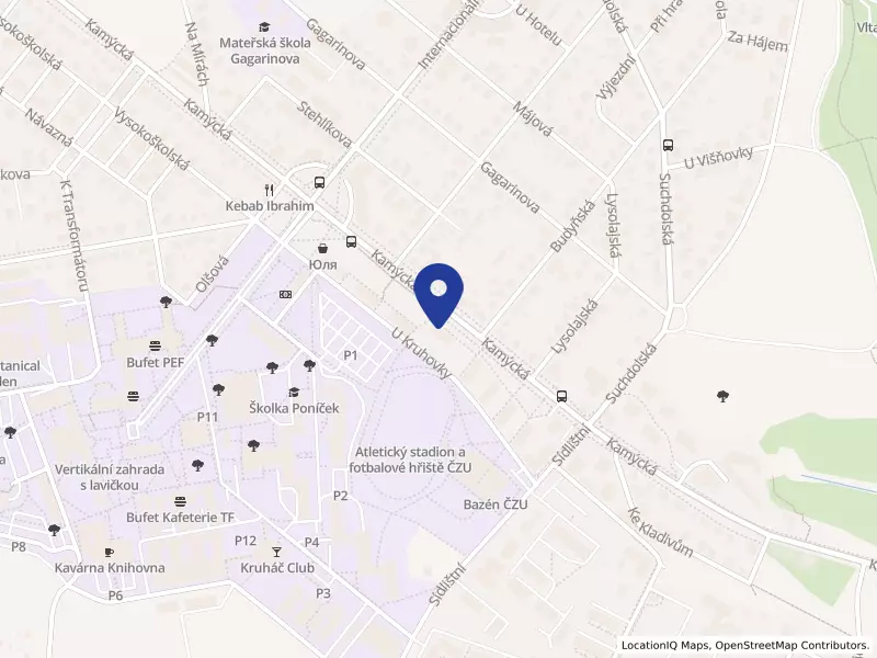 Bytové družstvo Kamýcká 910 - 911, Praha 6 - Suchdol, družstvo