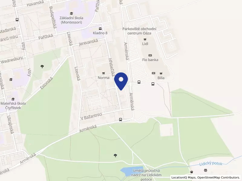 Impeltex S.A.,organizační složka