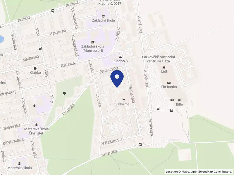 INSTITUTE OF ECONOMICS, s.r.o.