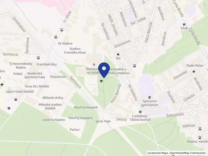 Hokej Kladno s.r.o.