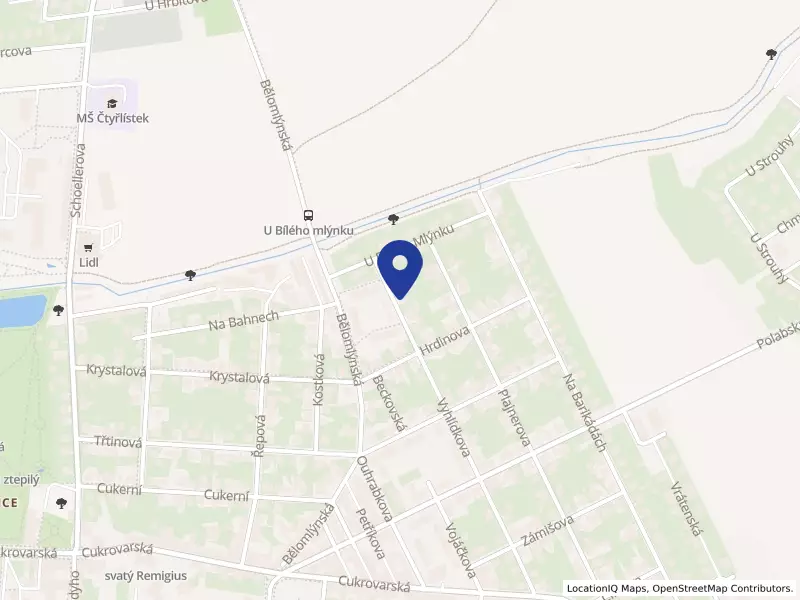 OBEC BARÁČNÍKŮ JANA KOZINY-ČAKOVICE
