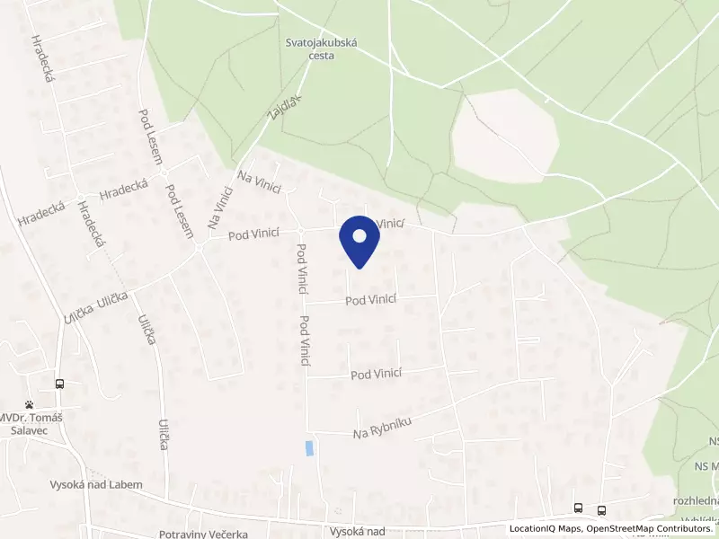 Discgolf Daddies s.r.o.