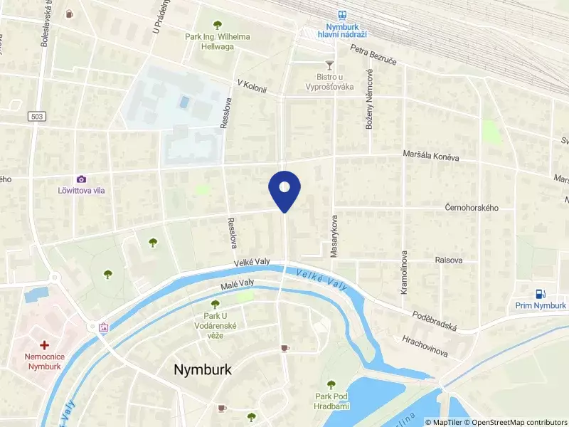 Dětský domov, Praktická škola, Základní škola a Mateřská škola Nymburk, příspěvková organizace