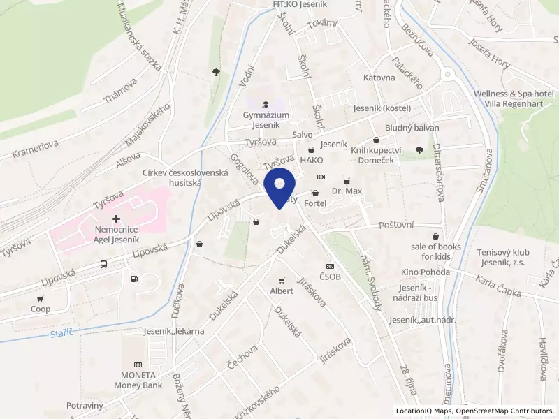 Rayvee´s Barbershop Jesenik s.r.o.