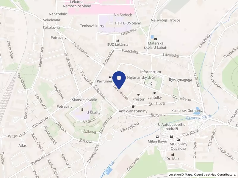 Timpel Medical B.V., odštěpný závod