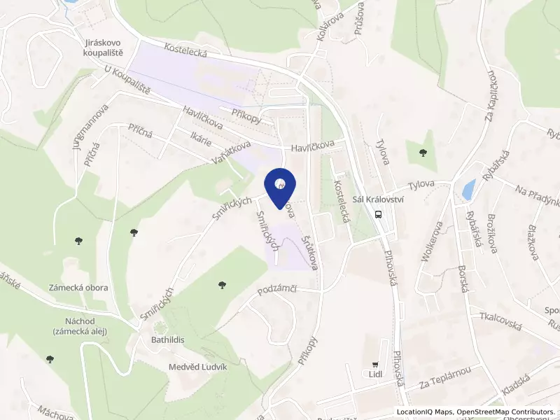 JMP Development LLC, organizační složka