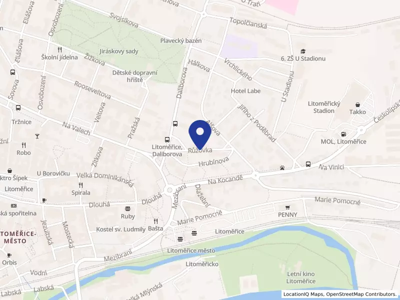 International Research and Information Services s.r.o.