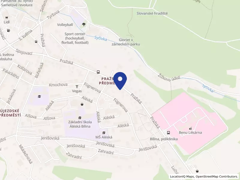 Hornická nemocnice s poliklinikou spol. s r.o.