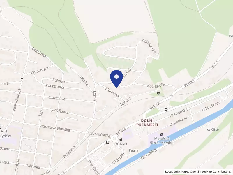 Společnost DUHA, Nadace pro děti postižené mozkovou obrnou