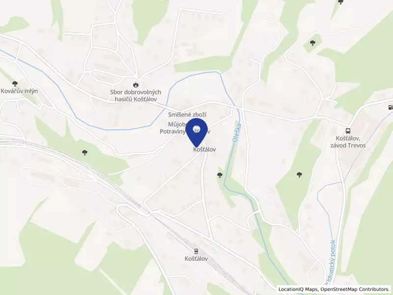 Tělocvičná jednota Sokol Košťálov