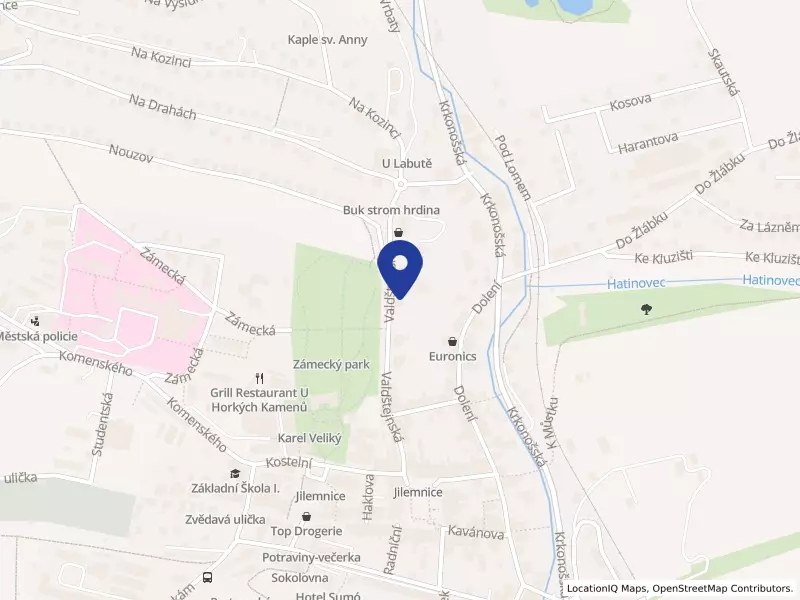 R.S.D. - Gastroslužby - školní jídelna s.r.o.